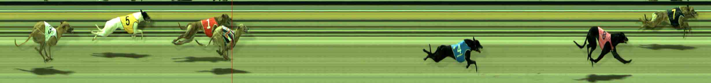 Photo finish for Sale Race 2