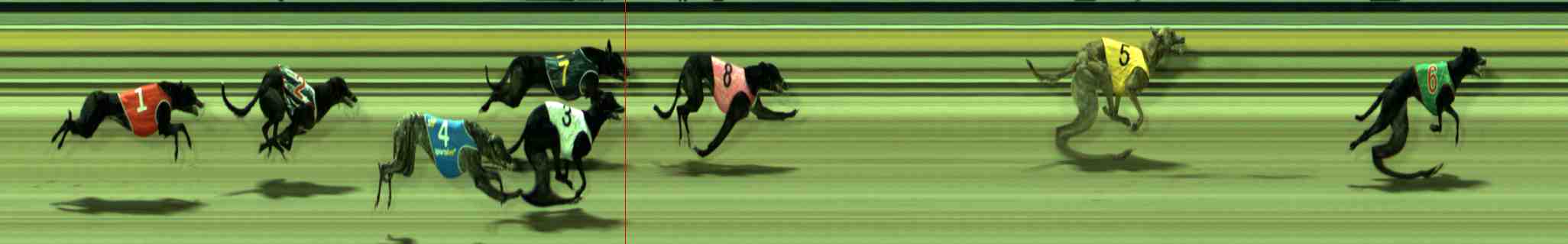 Photo finish for Sale Race 3