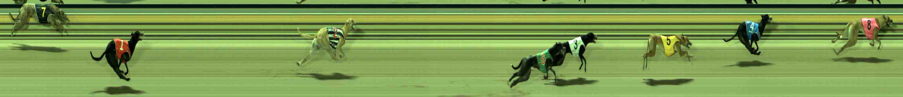 Photo finish for Sale Race 4