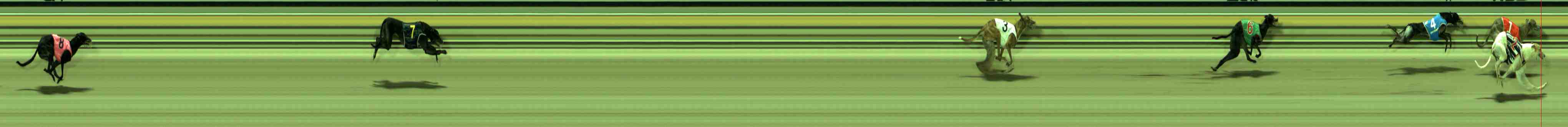 Photo finish for Sale Race 5