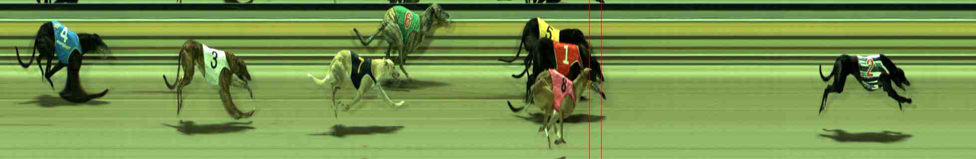 Photo finish for Sale Race 6