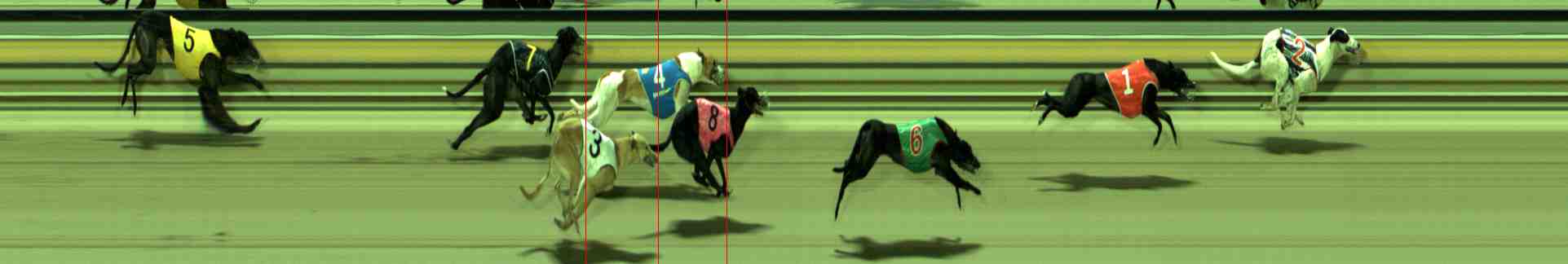 Photo finish for Sale Race 7