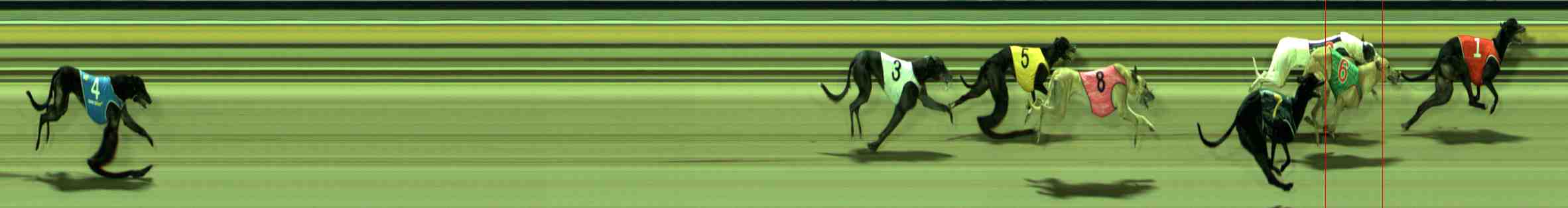 Photo finish for Sale Race 8