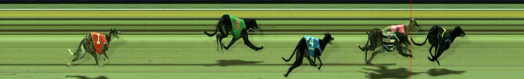 Photo finish for Sale Race 9