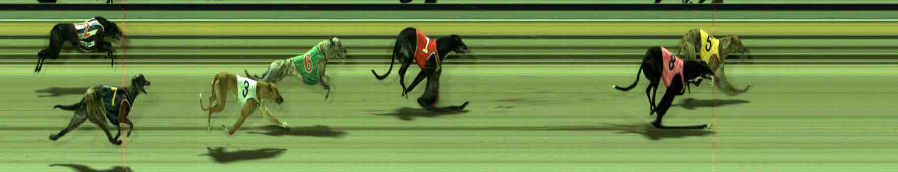 Photo finish for Sale Race 10