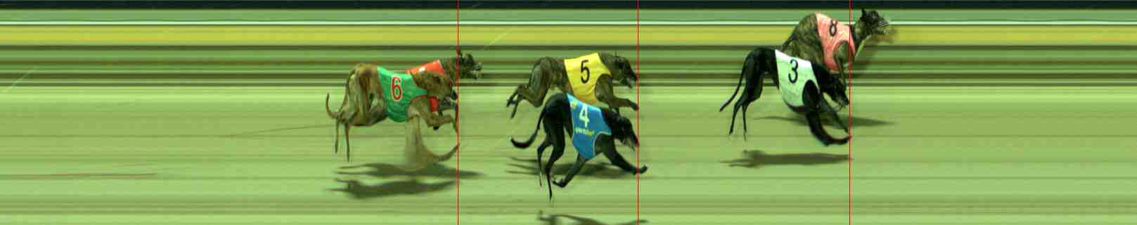 Photo finish for Sale Race 11