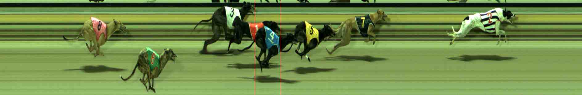 Photo finish for Sale Race 12
