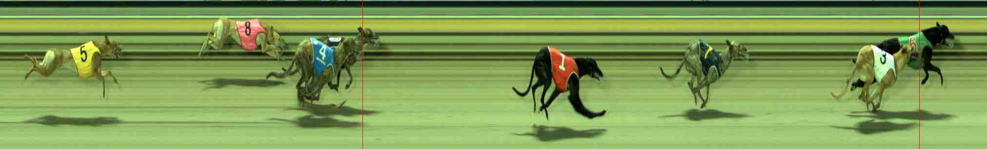 Photo finish for Sale Race 1
