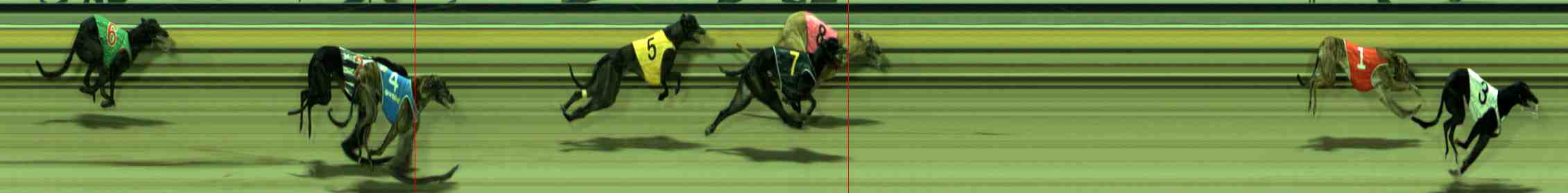 Photo finish for Sale Race 2