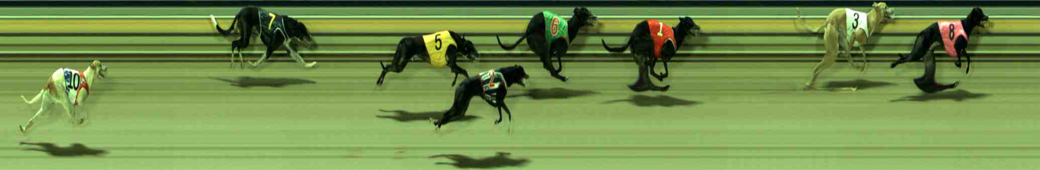 Photo finish for Sale Race 3