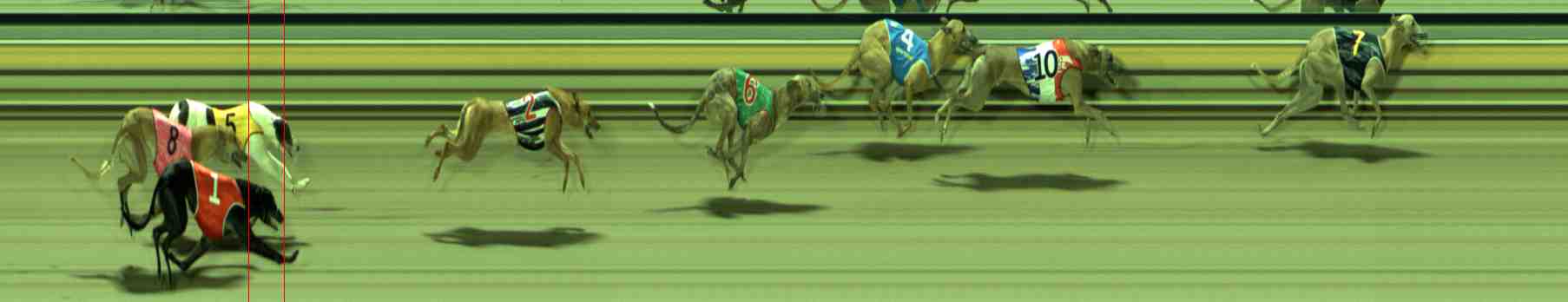 Photo finish for Sale Race 5