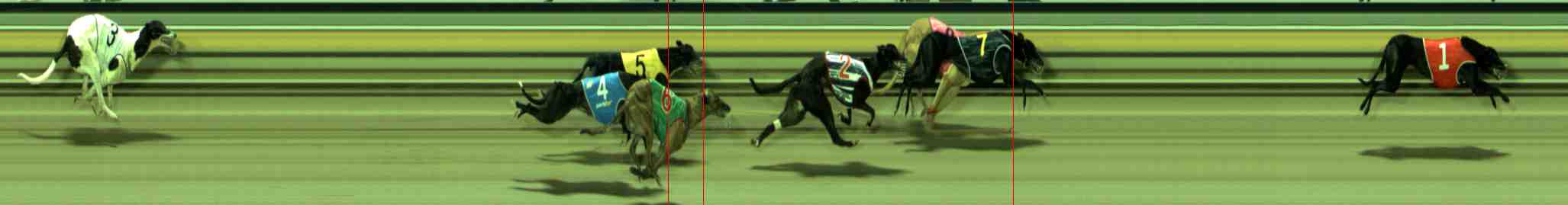 Photo finish for Sale Race 6
