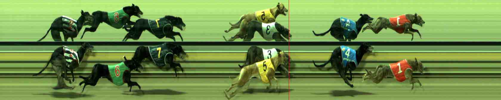 Photo finish for Sale Race 7