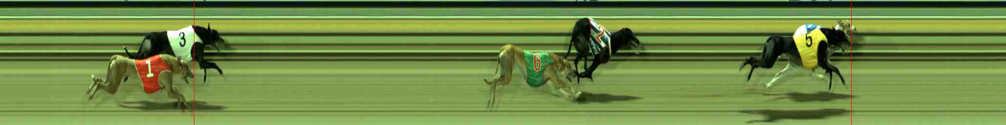 Photo finish for Sale Race 8