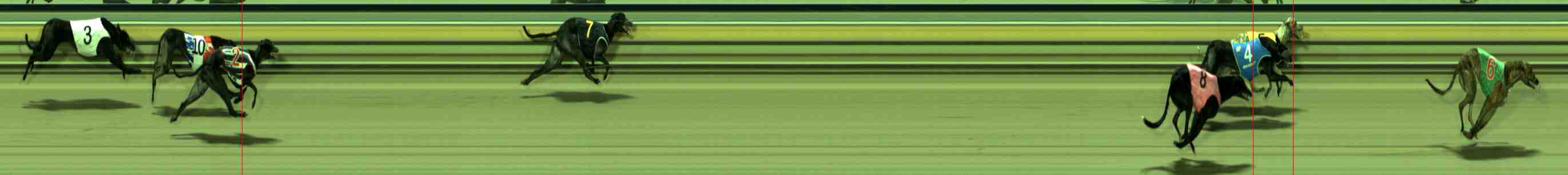 Photo finish for Sale Race 9