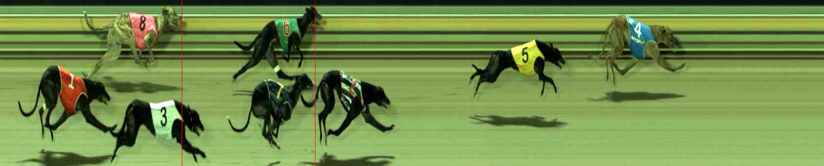 Photo finish for Sale Race 10