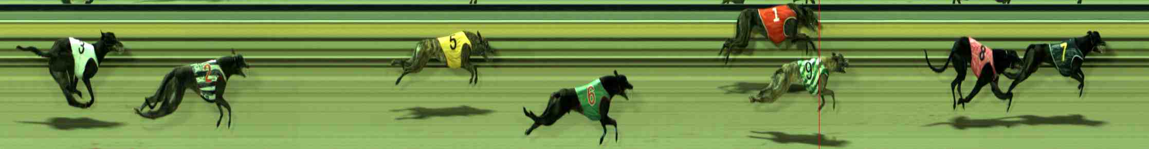 Photo finish for Sale Race 11