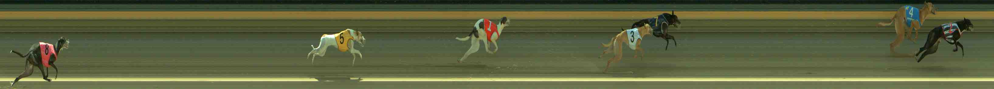 Photo finish for Sale Race 1