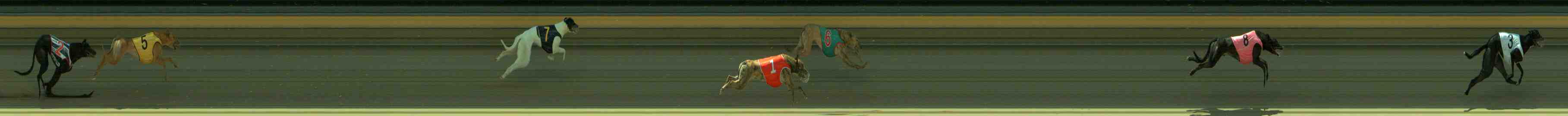 Photo finish for Sale Race 2
