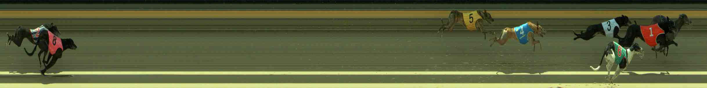 Photo finish for Sale Race 3