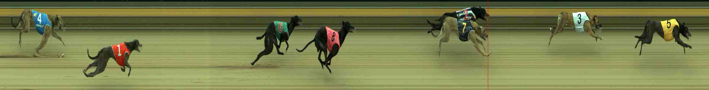 Photo finish for Sale Race 4
