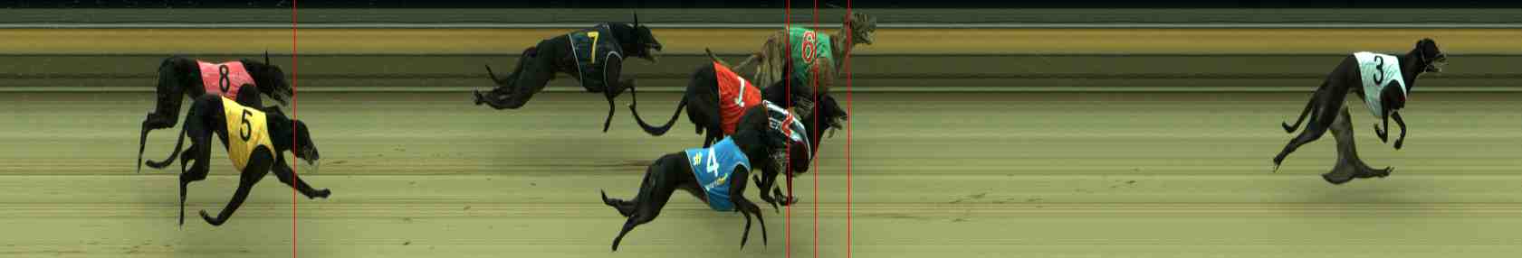 Photo finish for Sale Race 5
