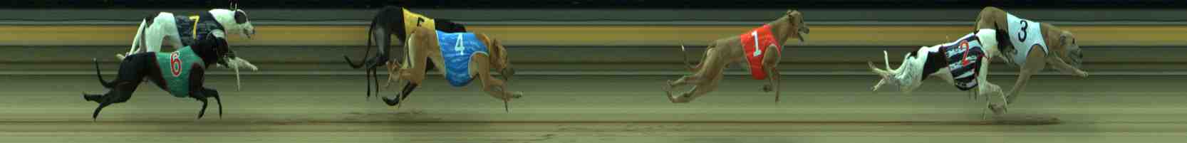 Photo finish for Sale Race 7