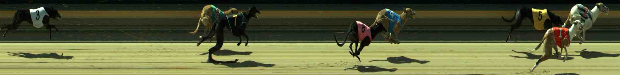 Photo finish for Sale Race 8
