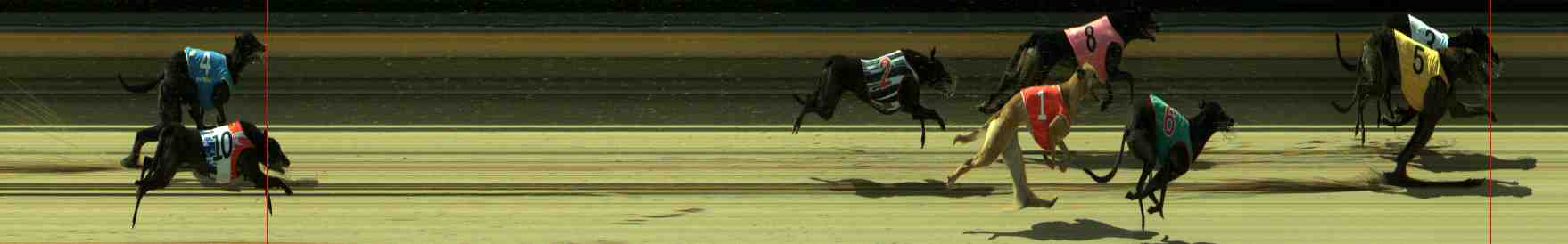 Photo finish for Sale Race 10