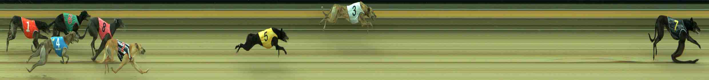 Photo finish for Sale Race 12