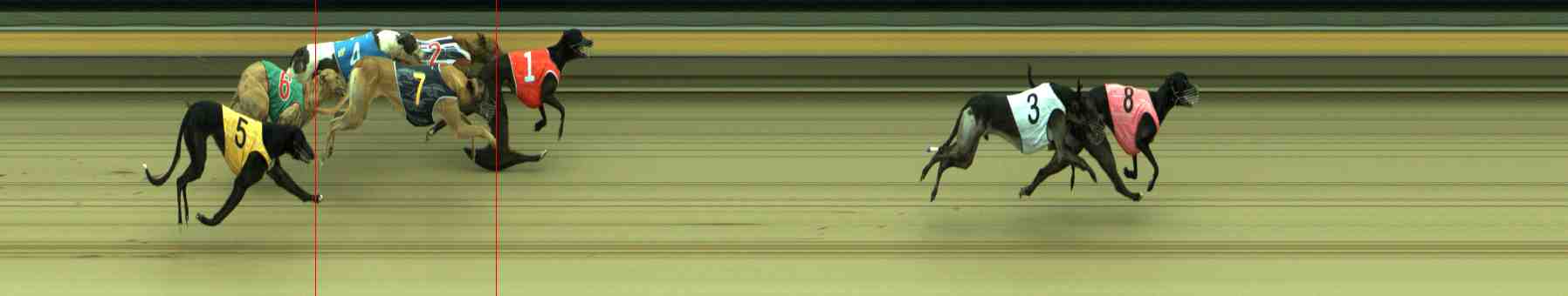 Photo finish for Sale Race 2