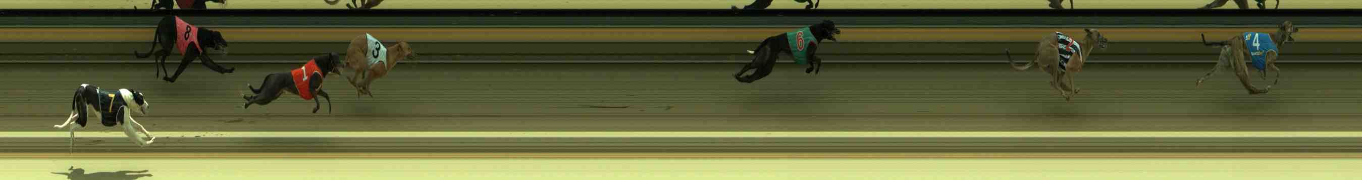 Photo finish for Sale Race 3