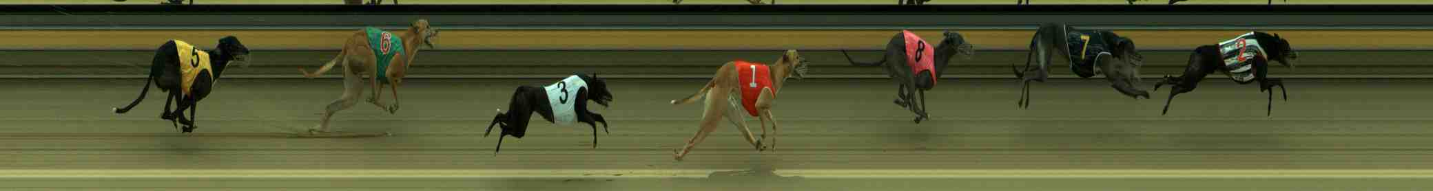 Photo finish for Sale Race 4