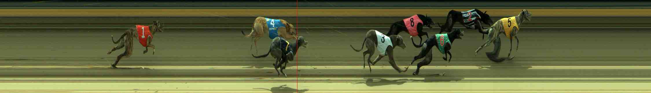 Photo finish for Sale Race 5