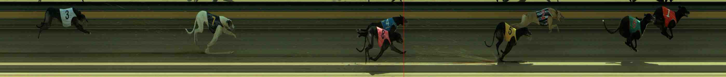 Photo finish for Sale Race 6