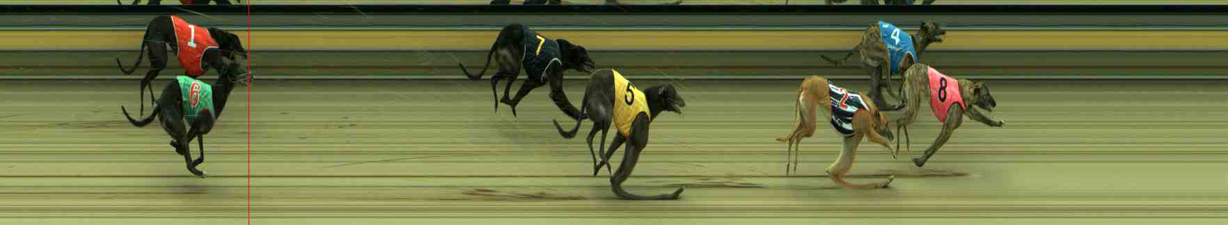 Photo finish for Sale Race 8