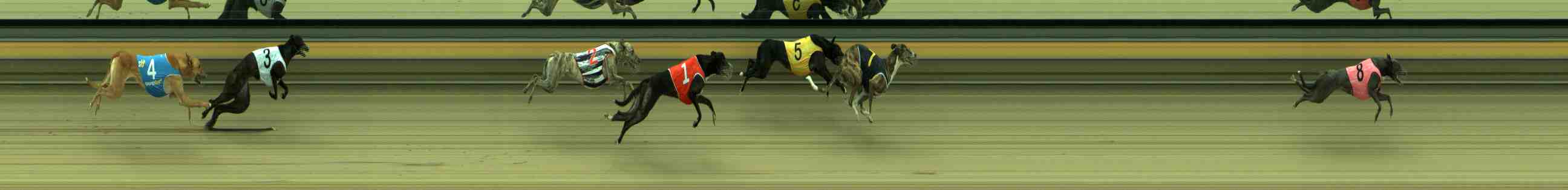 Photo finish for Sale Race 9
