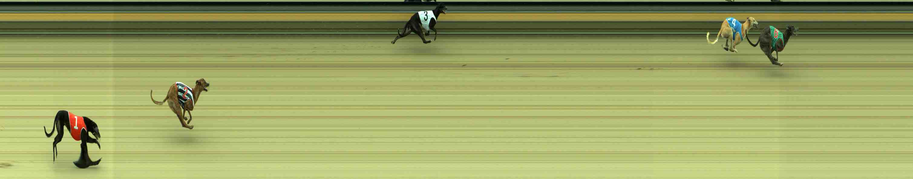 Photo finish for Sale Race 10