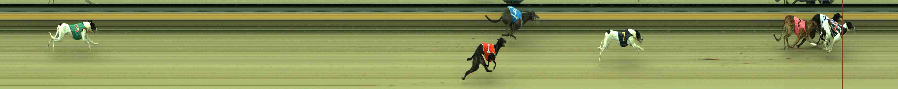 Photo finish for Sale Race 11