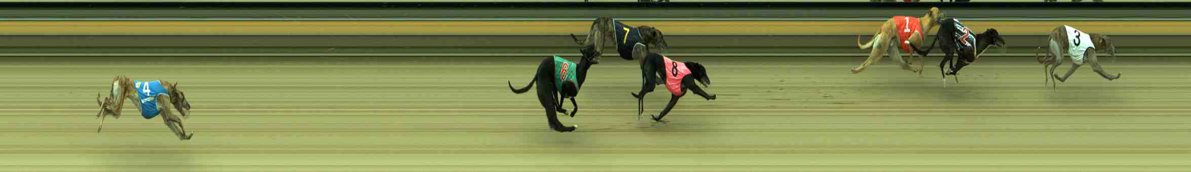 Photo finish for Sale Race 12