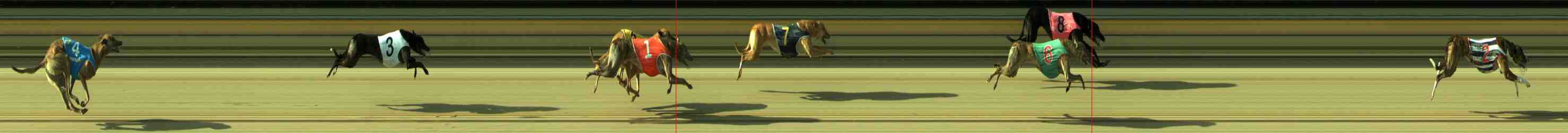 Race result finish photo