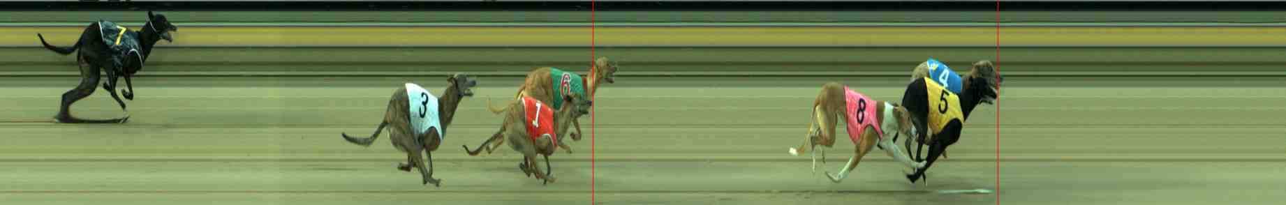 Photo finish for Sale Race 2