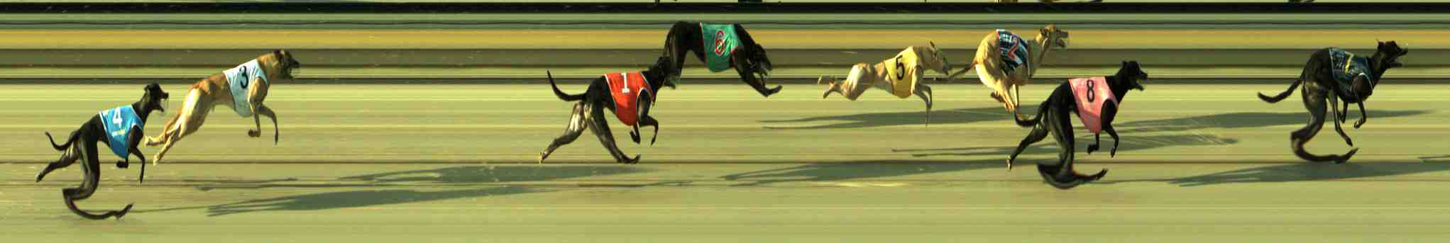 Photo finish for Sale Race 3