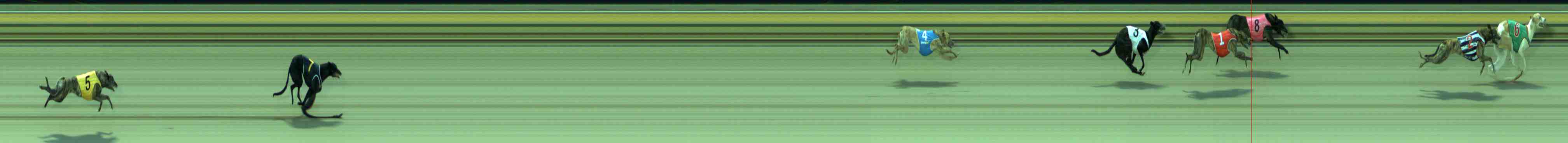 Photo finish for Sale Race 4