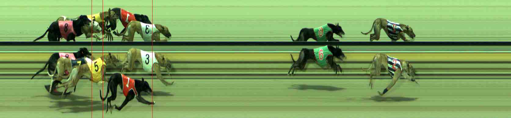 Photo finish for Sale Race 5