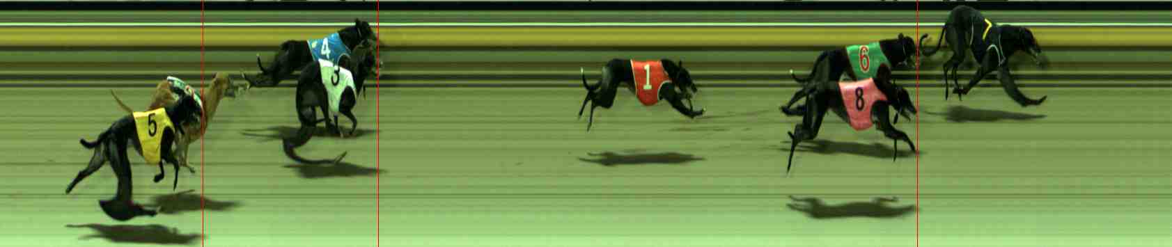 Photo finish for Sale Race 7