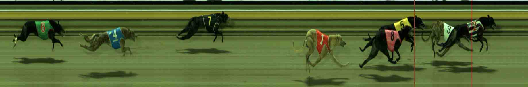 Photo finish for Sale Race 9