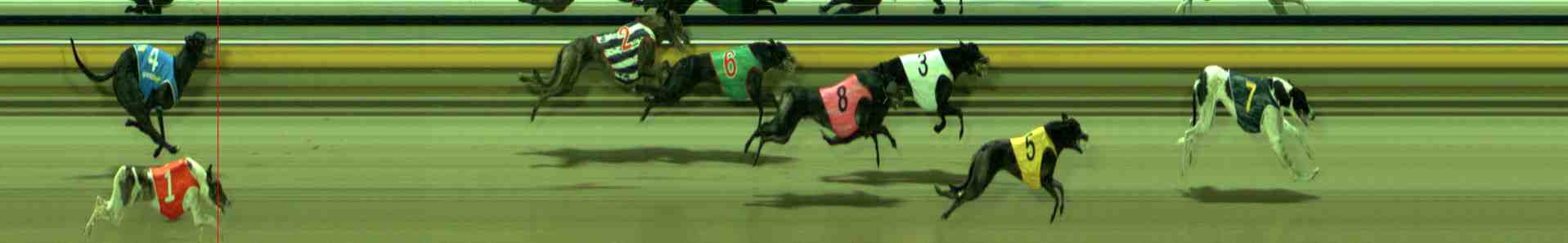Photo finish for Sale Race 10