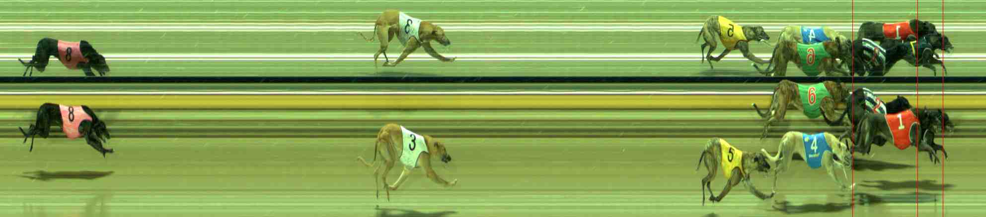 Photo finish for Sale Race 12