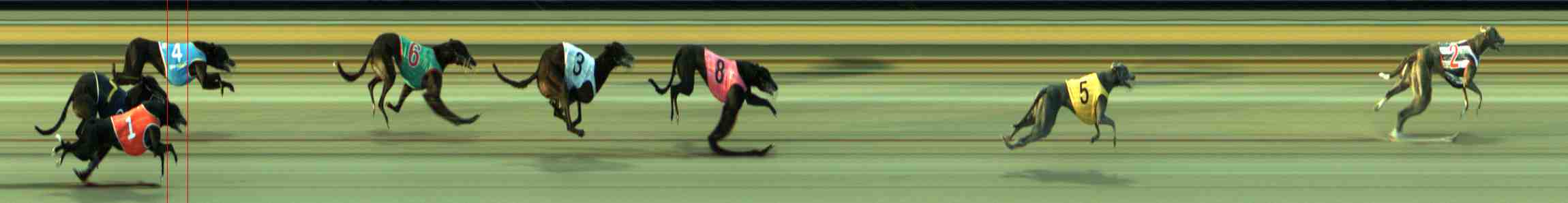 Race result finish photo